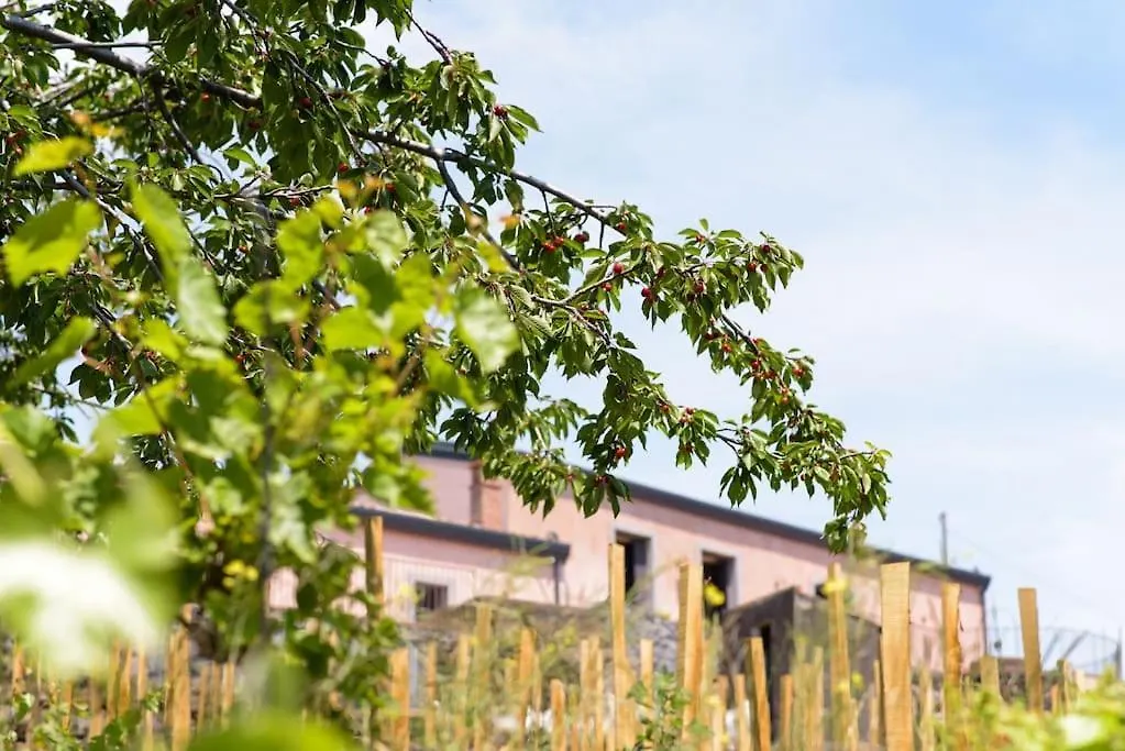 Tenuta Costa Sovere Mascali Holiday home