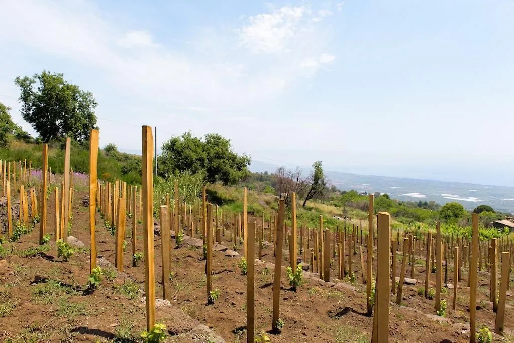 Tenuta Costa Sovere Mascali 0*,